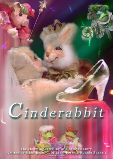 Cinderabbit! DVD